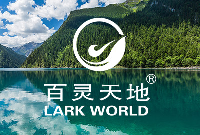 welcome新澳门内蒙古公司荣获神华新疆项目优秀服务奖