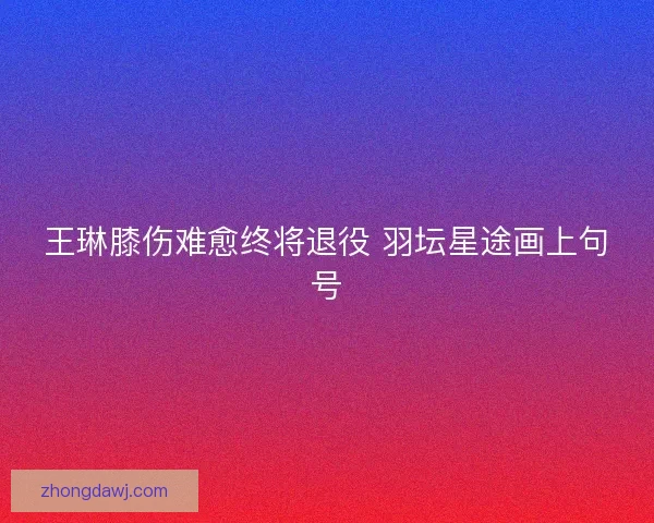王琳膝伤难愈终将退役 羽坛星途画上句号