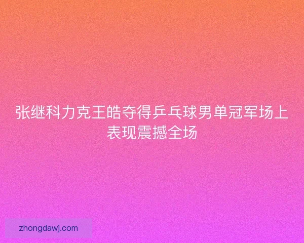 张继科力克王皓夺得乒乓球男单冠军场上表现震撼全场