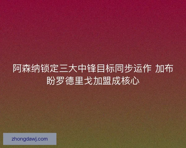 阿森纳锁定三大中锋目标同步运作 加布盼罗德里戈加盟成核心