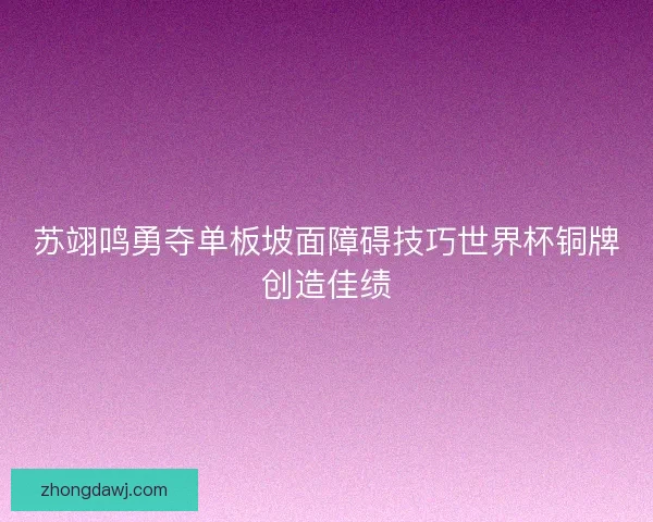 苏翊鸣勇夺单板坡面障碍技巧世界杯铜牌创造佳绩